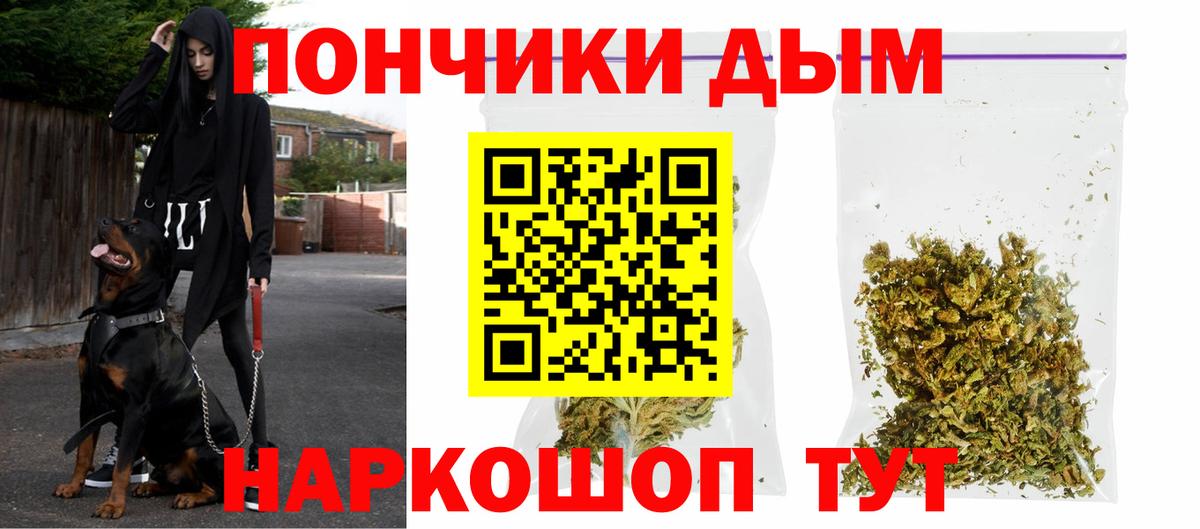 Канабис планчик Десногорск